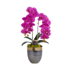 Double Orchids in Bronze Container with Gold Rim VivoPetal