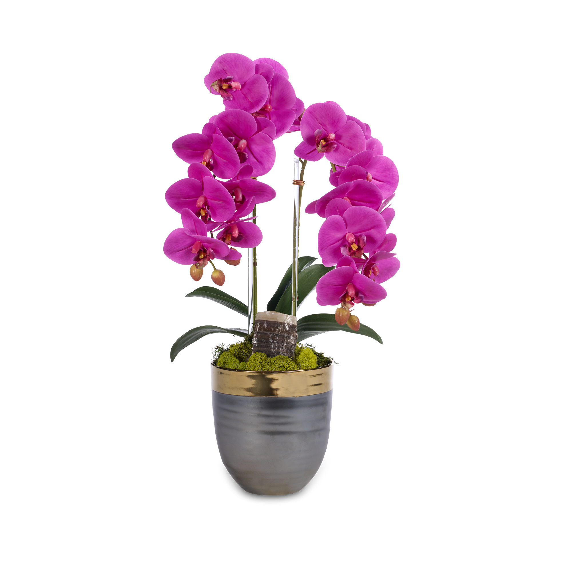 Double Orchids in Bronze Container with Gold Rim VivoPetal
