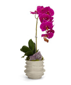 Orchid in White Wavy Pot Faux Orchid with Preserved Moss and Geode Accent | VivoPetal