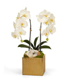 Double Orchid in Gold Square VivoPetal