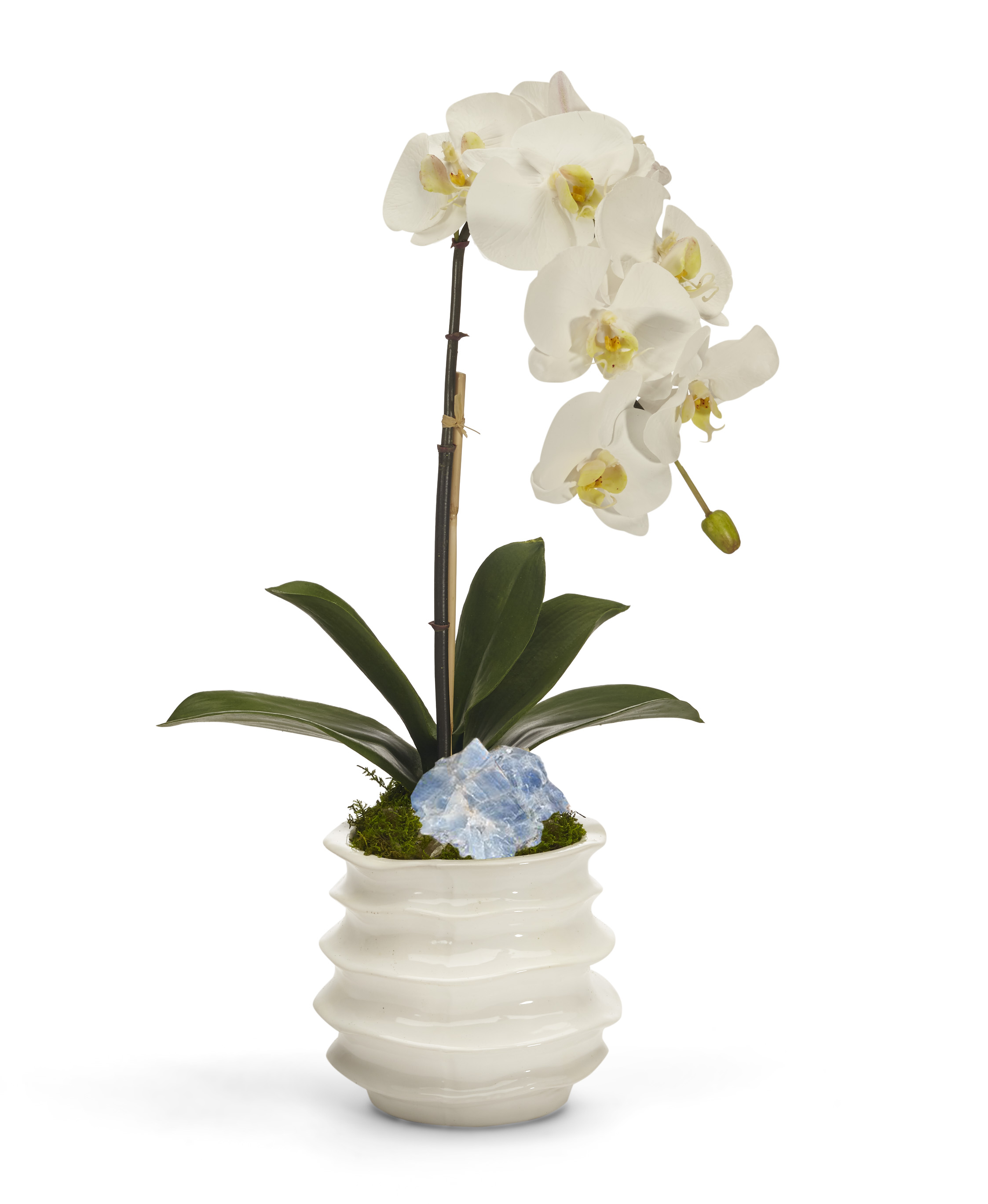 Orchid in White Wavy Pot Faux Orchid with Preserved Moss and Geode Accent | VivoPetal