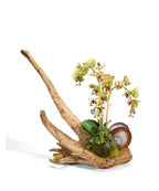 Orchids on Driftwood Faux Orchid Centerpiece by VivoPetal
