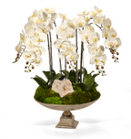 Orchid and Crystal in Large Silver Urn