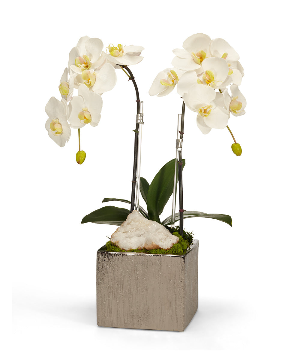 Double Orchid in Silver Square VivoPetal