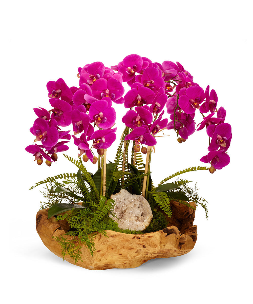 Orchids in Wood Bowl VivoPetal