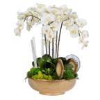 Orchids in Gold Hammered Metal Bowl with Selenite & Agate Slabs VivoPetal