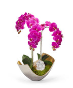 Orchids in Mixed Metal Scoop VivoPetal