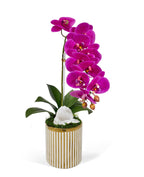 Single Orchid in White and Gold Container VivoPetal