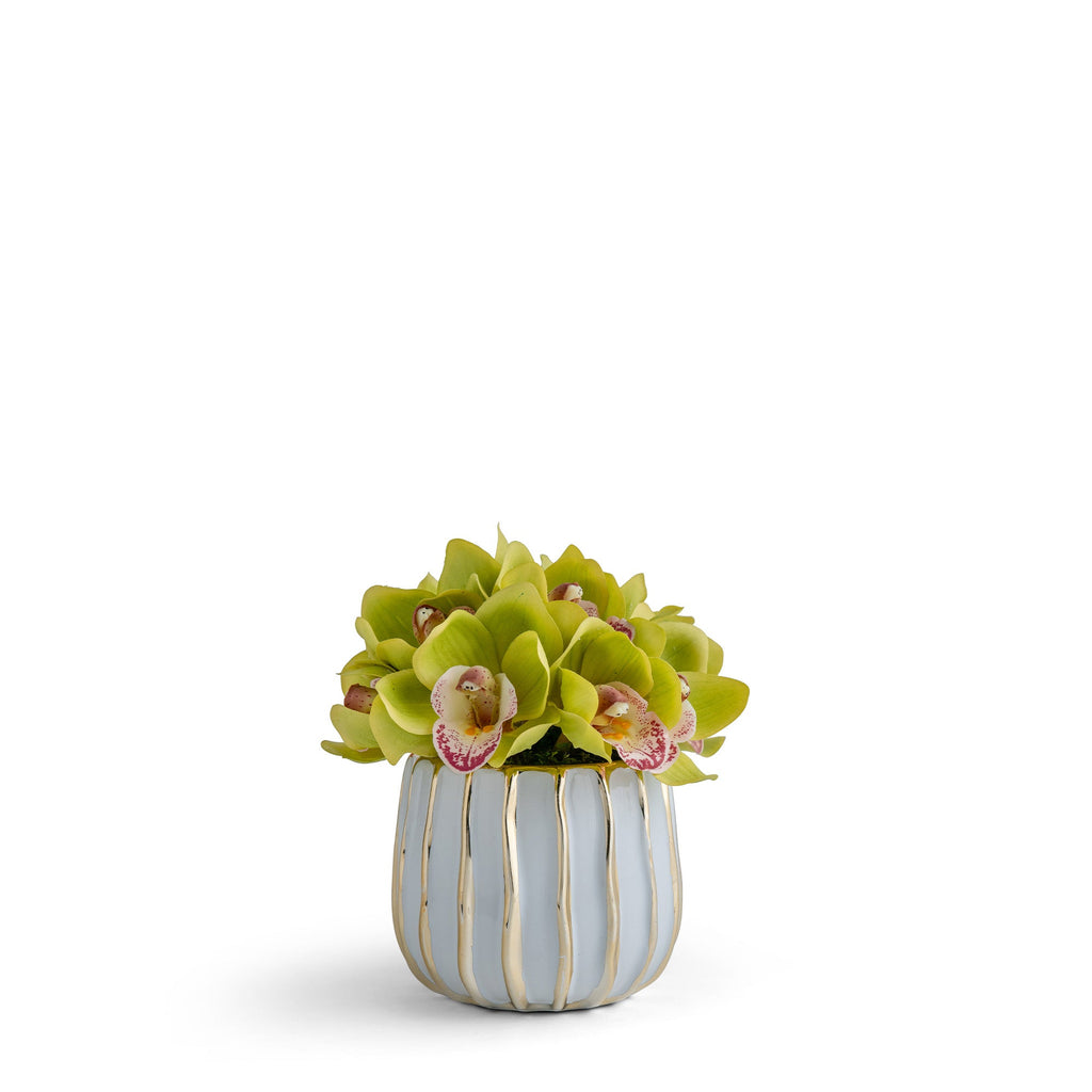 Cymbidium Orchid in Gold-White Ceramic Preserved Floral Arrangement | VivoPetal