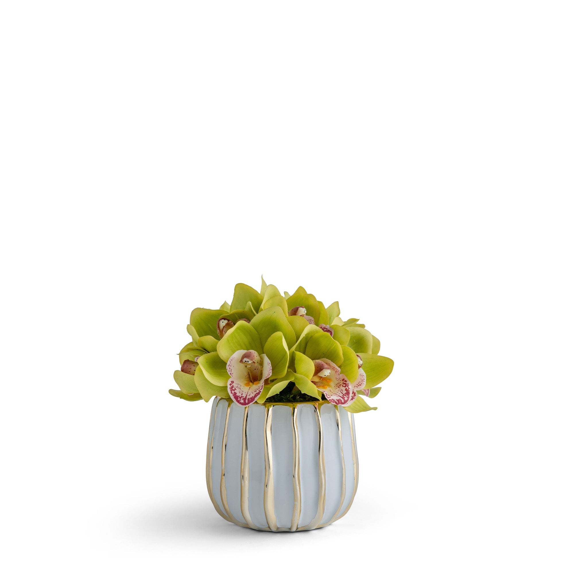 Cymbidium Orchid in Gold-White Ceramic Preserved Floral Arrangement | VivoPetal