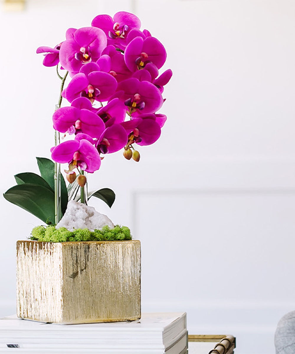 Double Orchid in Gold Square VivoPetal
