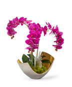 Orchids in Mixed Metal Scoop VivoPetal