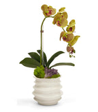 Orchid in White Wavy Pot Faux Orchid with Preserved Moss and Geode Accent | VivoPetal