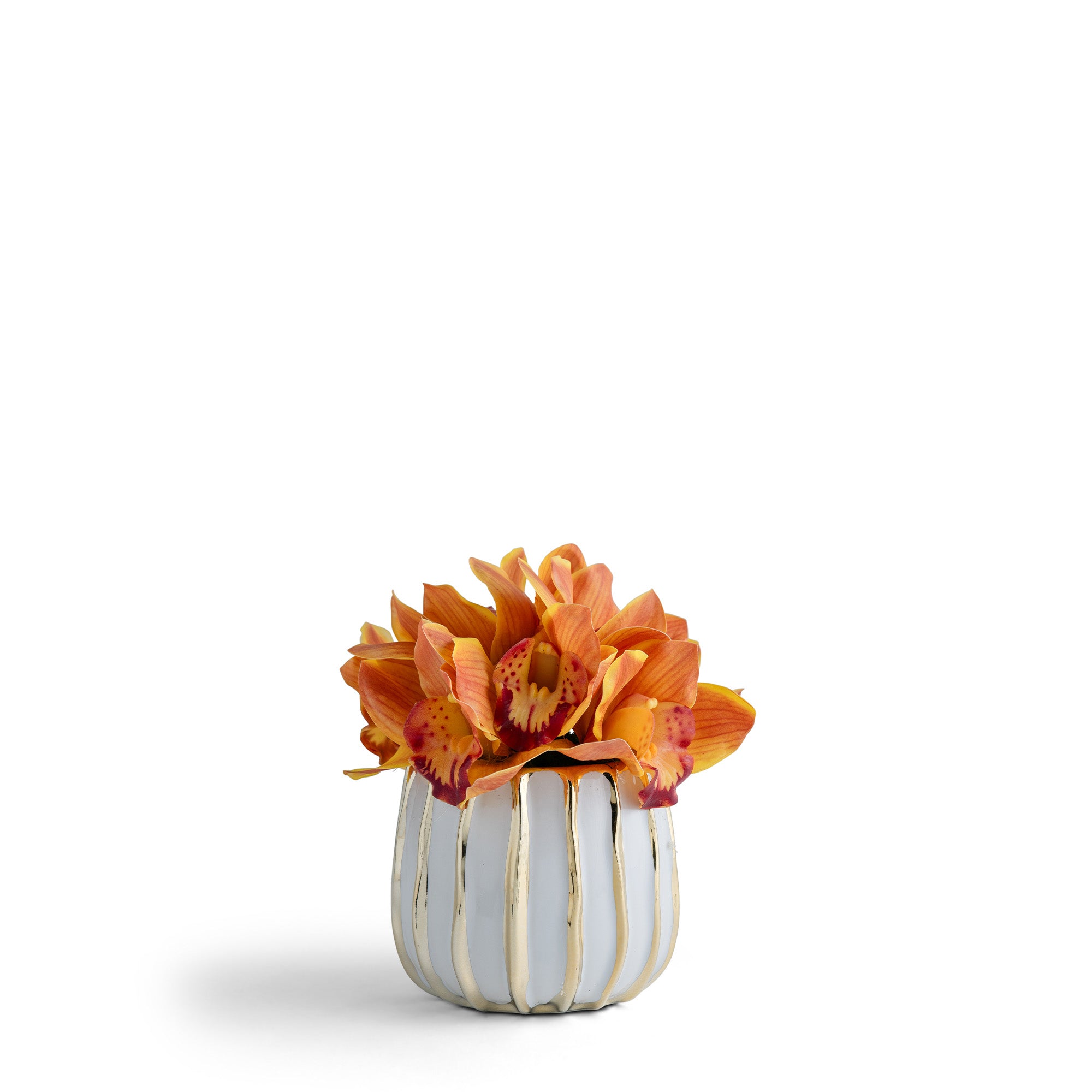 Cymbidium Orchid in Gold-White Ceramic Preserved Floral Arrangement | VivoPetal