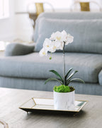 Single Orchid in White Faux Marble Container