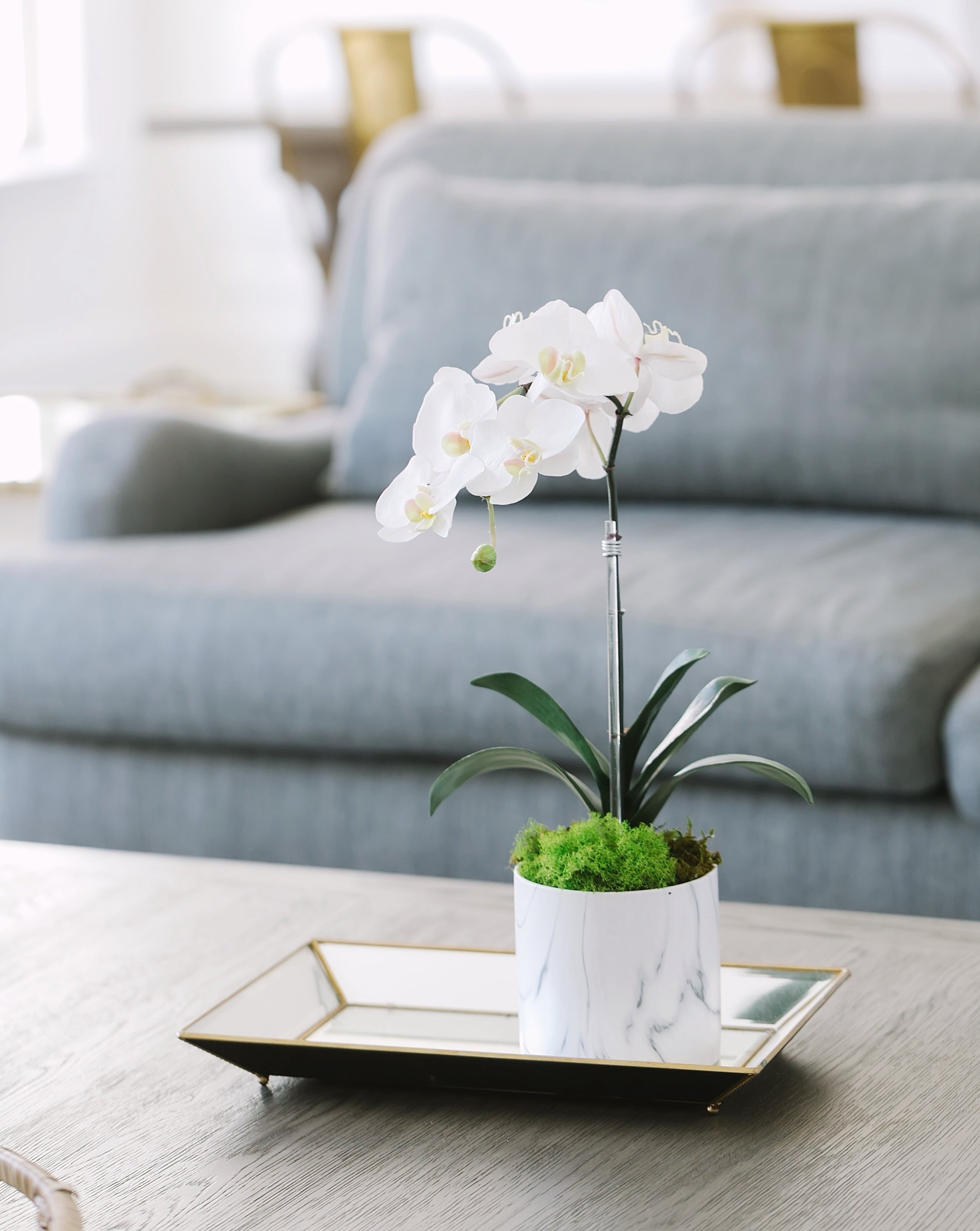 Single Orchid in White Faux Marble Container