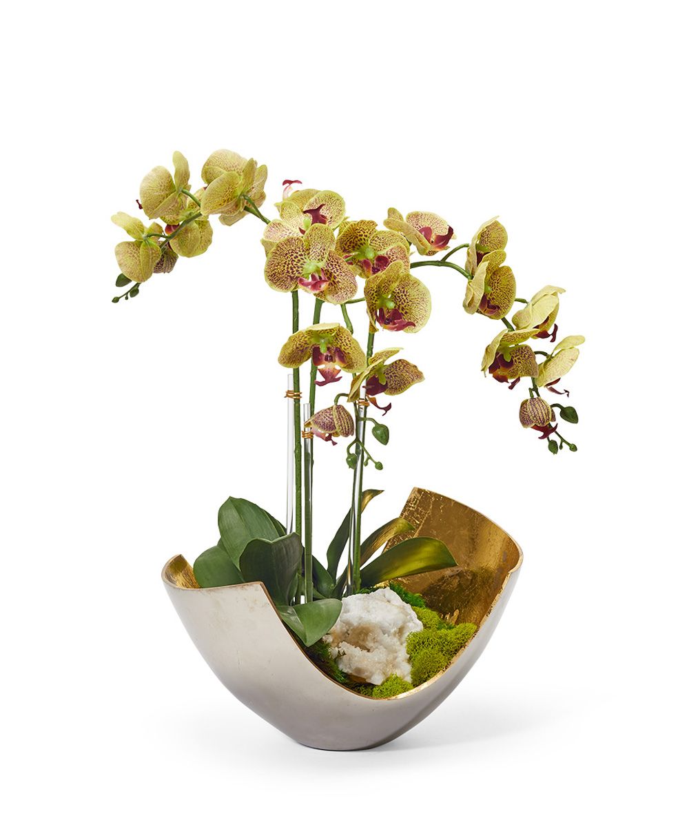 Orchids in Mixed Metal Scoop VivoPetal