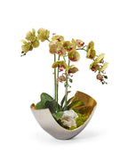 Orchids in Mixed Metal Scoop VivoPetal