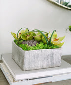 Orchid Table Top in Silver Square VivoPetal