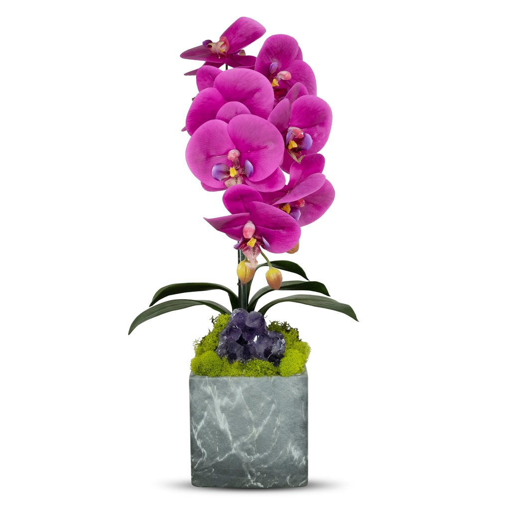 Single Orchid in Faux Marble Container VivoPetal
