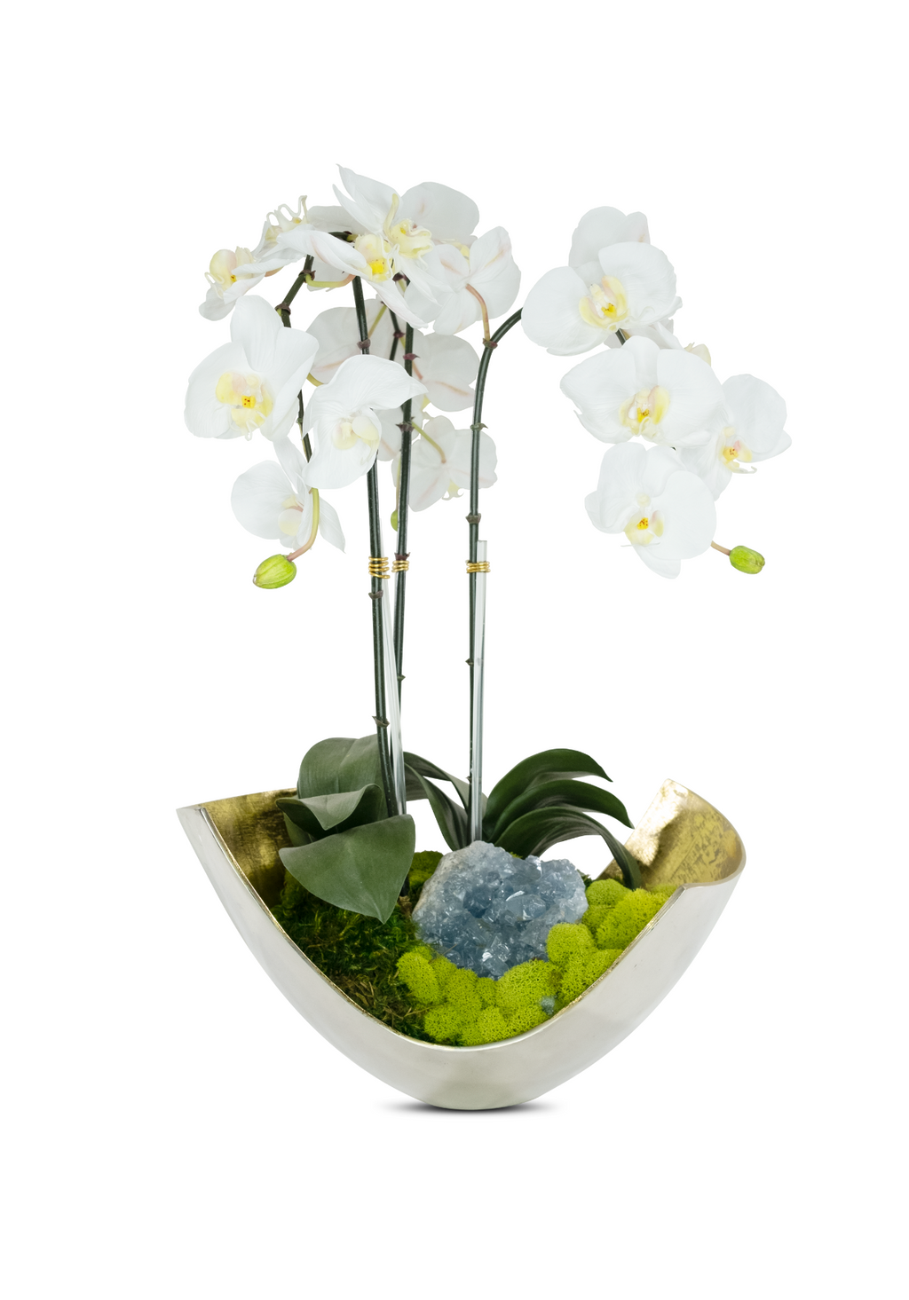 Orchids in Mixed Metal Scoop VivoPetal