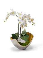 Orchids in Mixed Metal Scoop VivoPetal