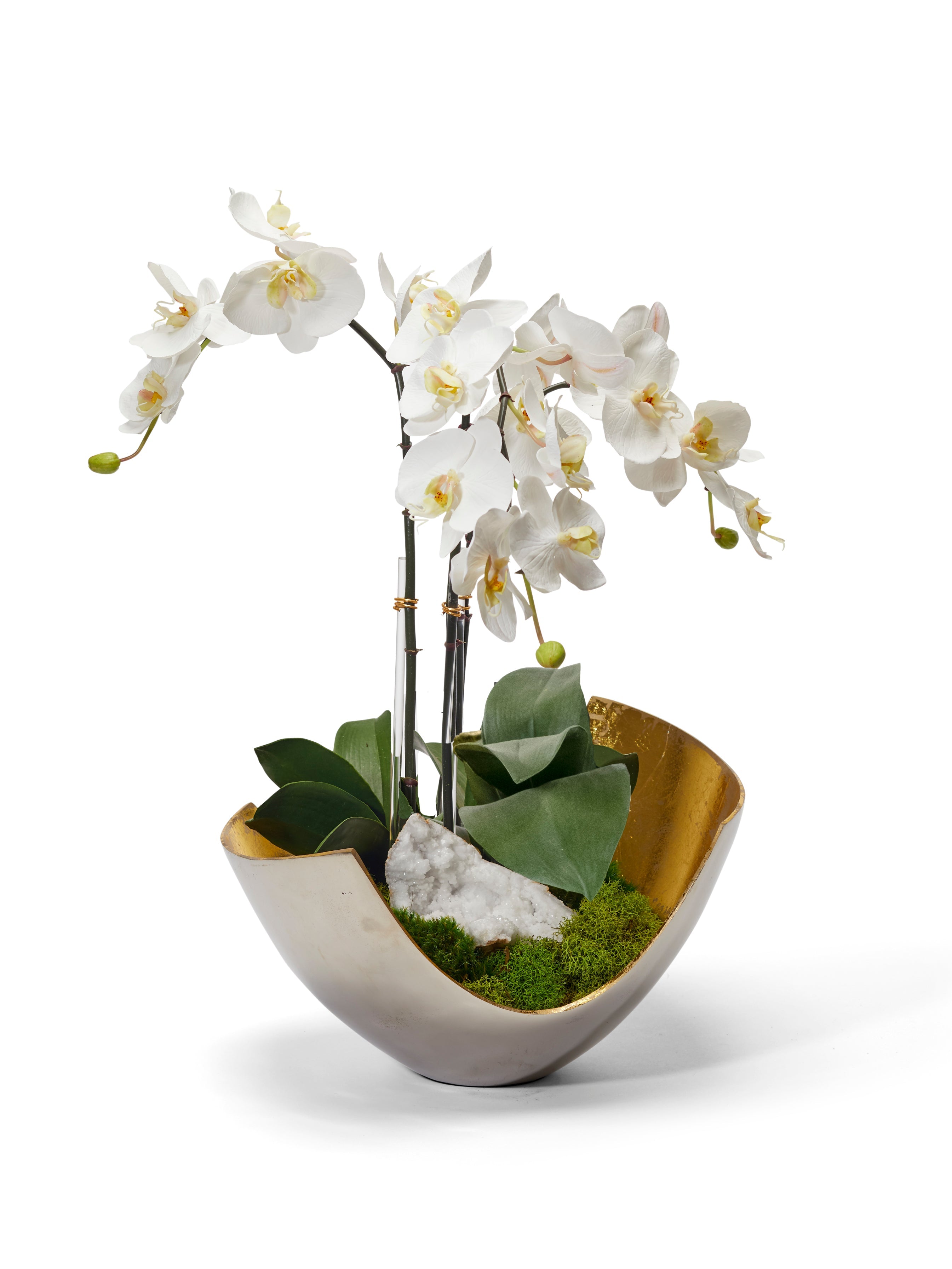 Orchids in Mixed Metal Scoop VivoPetal