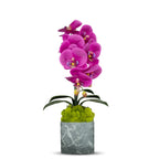 Single Orchid in Faux Marble Container VivoPetal